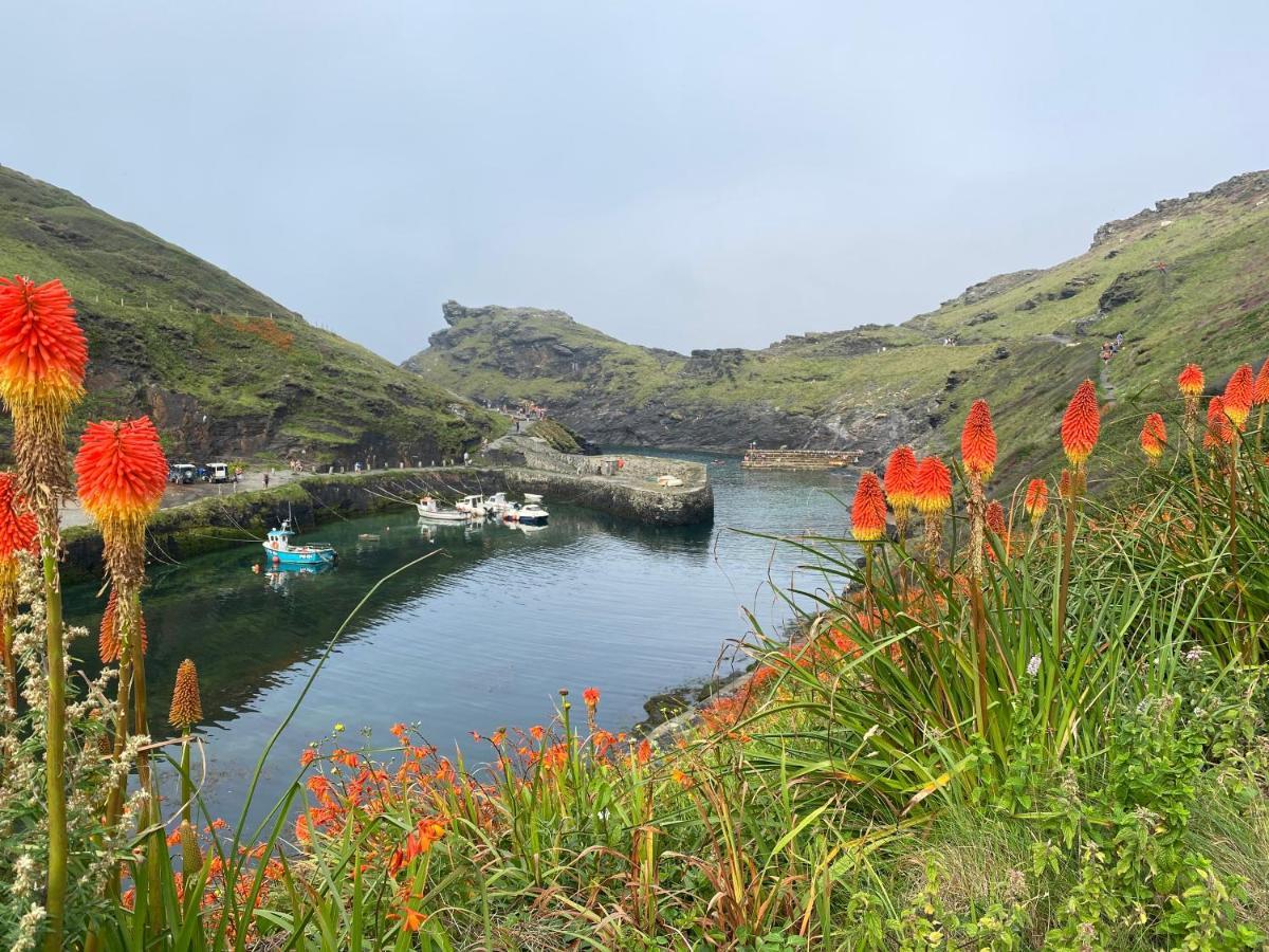 Harbour Light Lejlighed Boscastle Eksteriør billede