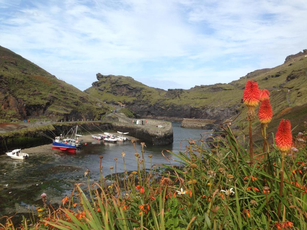 Harbour Light Lejlighed Boscastle Eksteriør billede