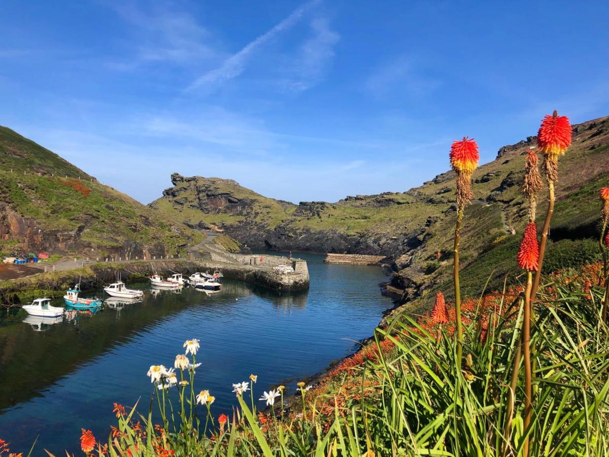 Harbour Light Lejlighed Boscastle Eksteriør billede